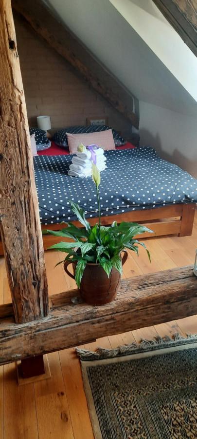 Penzion-Apartman U Johana Moravská Třebová Zewnętrze zdjęcie