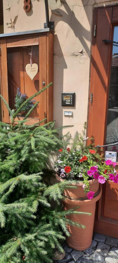 Penzion-Apartman U Johana Moravská Třebová Zewnętrze zdjęcie