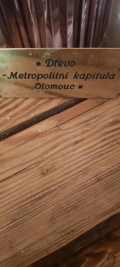 Penzion-Apartman U Johana Moravská Třebová Zewnętrze zdjęcie